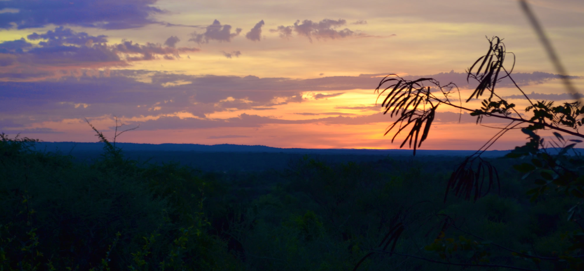 Blue and orange African sunset