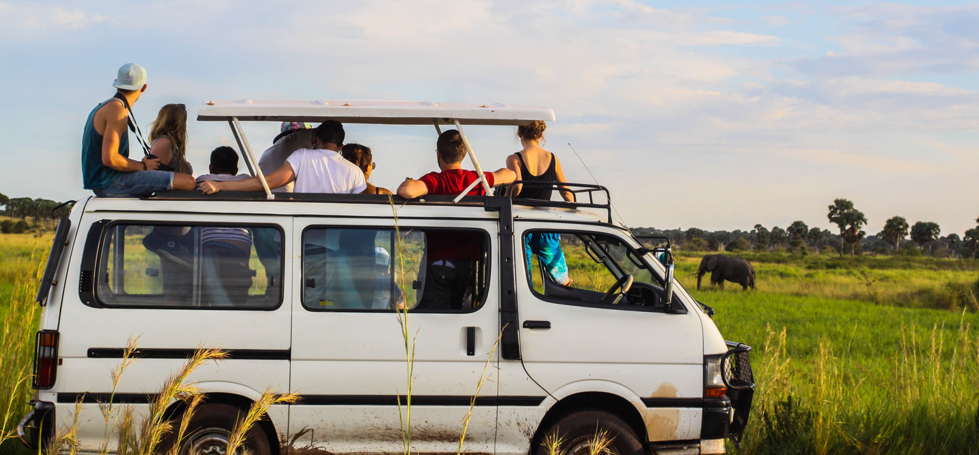Group of young adults looking out of top of safari van